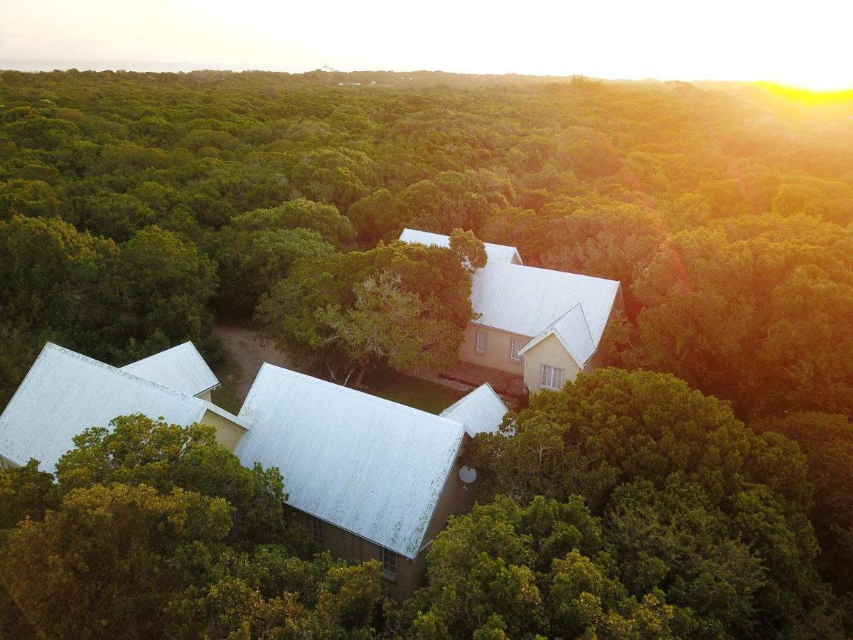 ポート・エリザベス The Plantation Bed & Breakfast エクステリア 写真