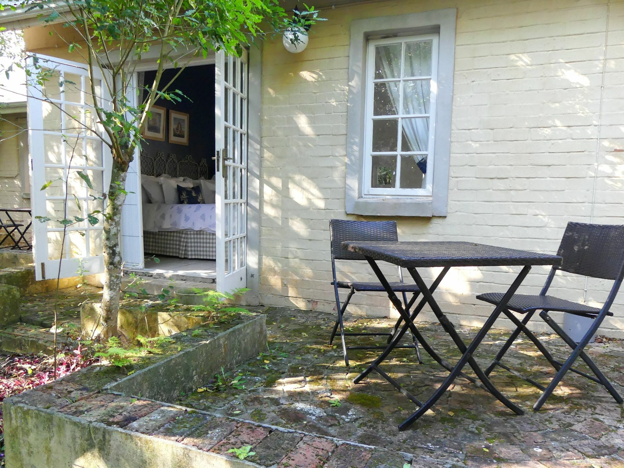 ポート・エリザベス The Plantation Bed & Breakfast エクステリア 写真
